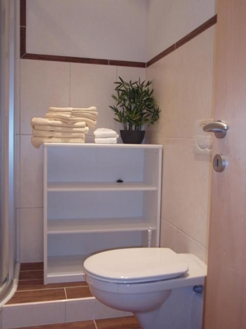Leirerfeld Apartment Alpbach Luaran gambar